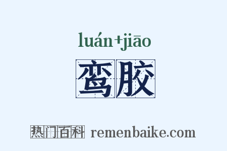 鸾胶是什么意思的图片